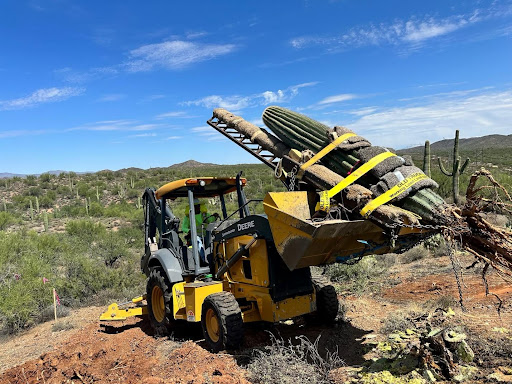 bulldozer with a cactus