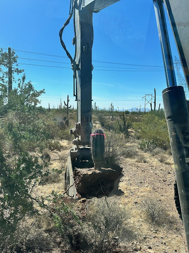 bulldozer with a cactus