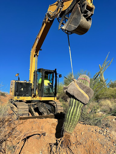 bulldozer with a cactus